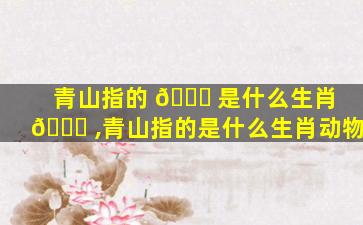 青山指的 🐒 是什么生肖 🐈 ,青山指的是什么生肖动物